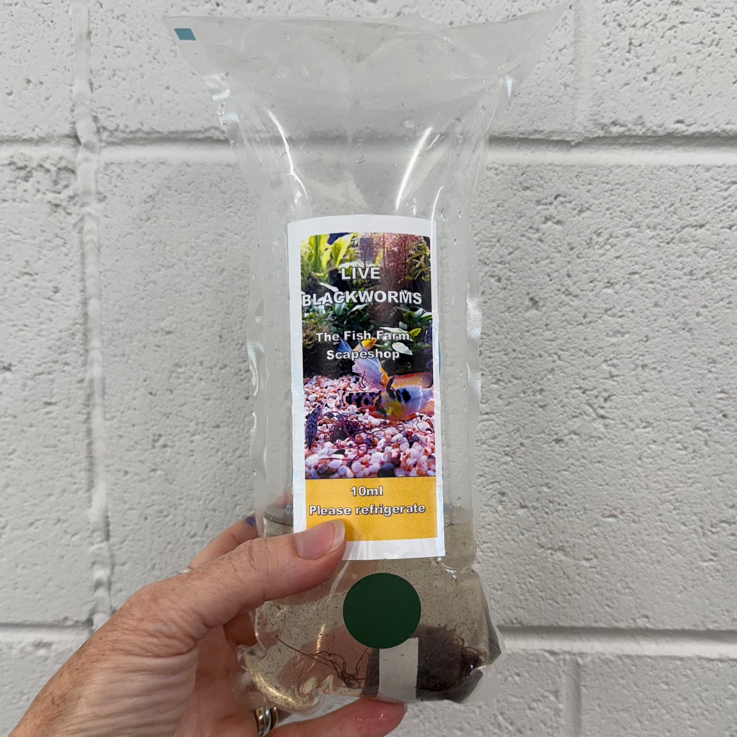 the-fish-farm Blackworms Blackworms Live Fish Food 10ml Pack Buy Live Blackworms for Fish Food from The Fish Farm Australia