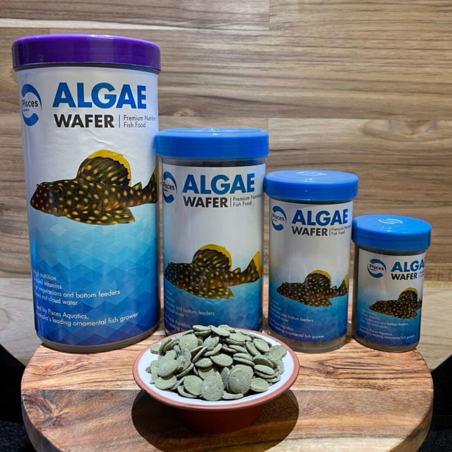 the-fish-farm Fish Food Algae Wafer Fish Food Pisces Algae Wafer Fish Food - The Fish Farm Australia