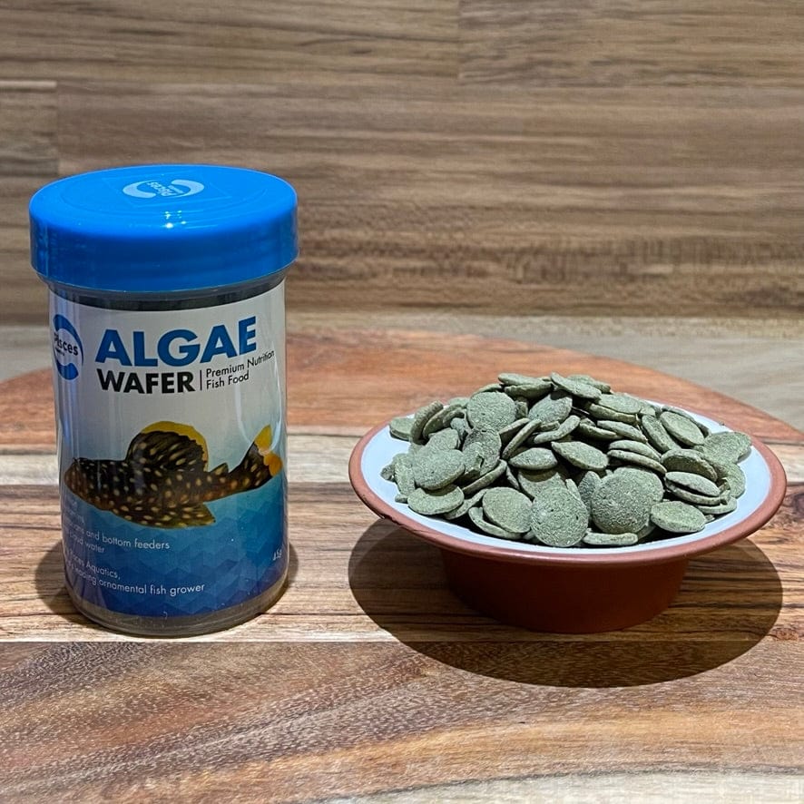 the-fish-farm Fish Food Algae Wafer Fish Food Pisces Algae Wafer Fish Food - The Fish Farm Australia