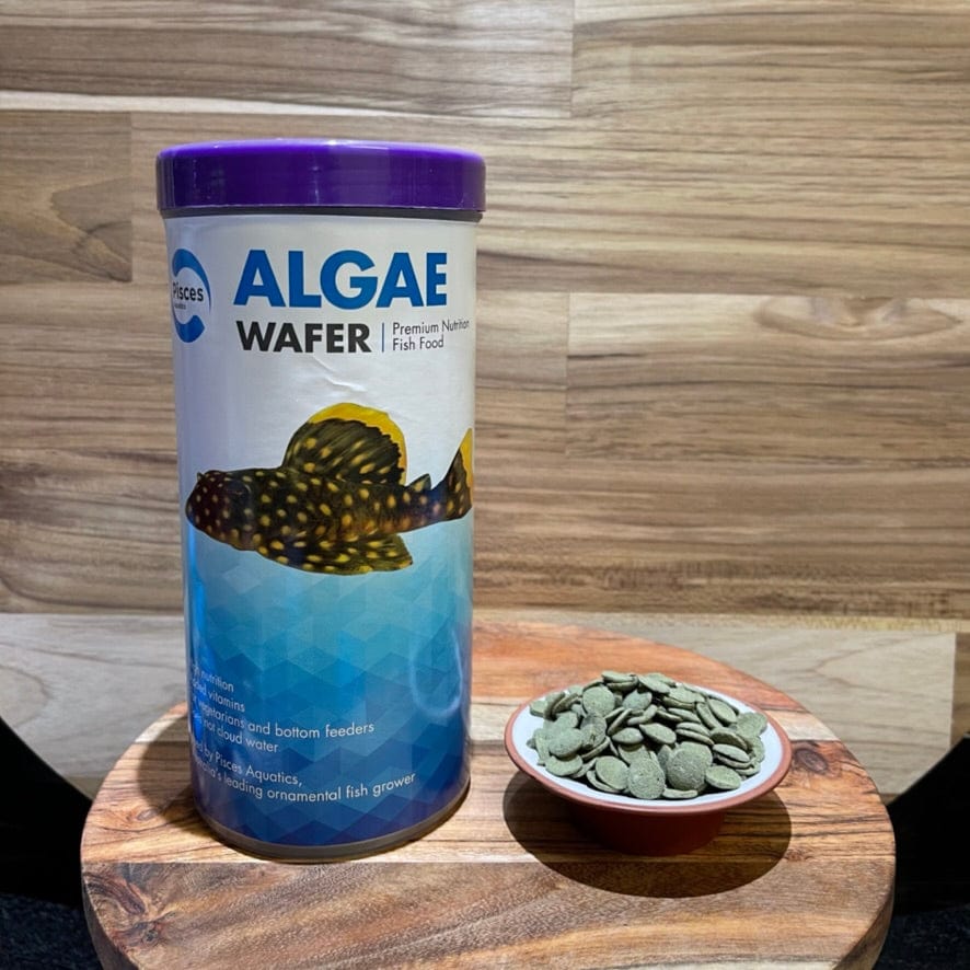 the-fish-farm Fish Food Enormous - 500g Algae Wafer Fish Food Pisces Algae Wafer Fish Food - The Fish Farm Australia