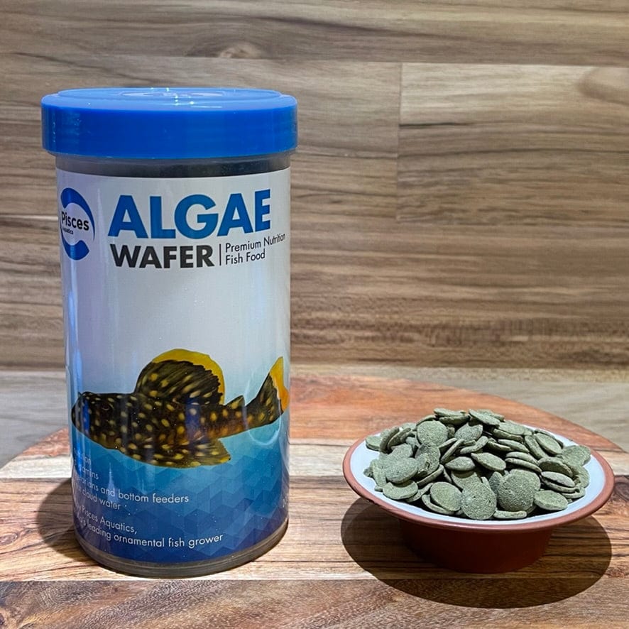 the-fish-farm Fish Food Large - 200g Algae Wafer Fish Food Pisces Algae Wafer Fish Food - The Fish Farm Australia