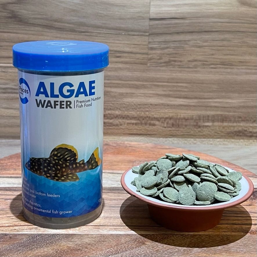 the-fish-farm Fish Food Small - 45g Algae Wafer Fish Food Pisces Algae Wafer Fish Food - The Fish Farm Australia