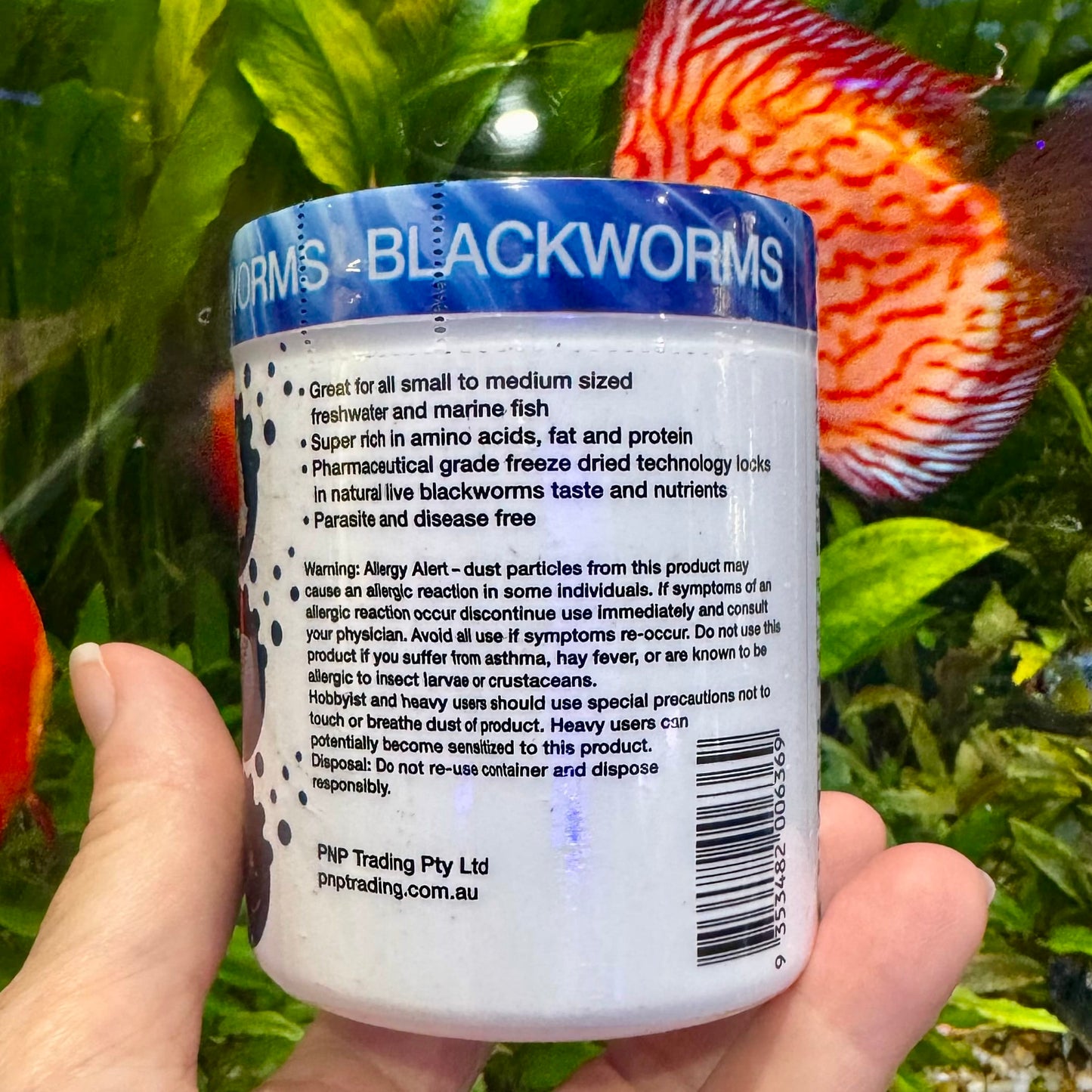 the-fish-farm Food and Treatments Aqua Natural Freeze Dried Blackworms Aqua Natural Freeze Dried Blackworms Freshwater and Marine Fish Food