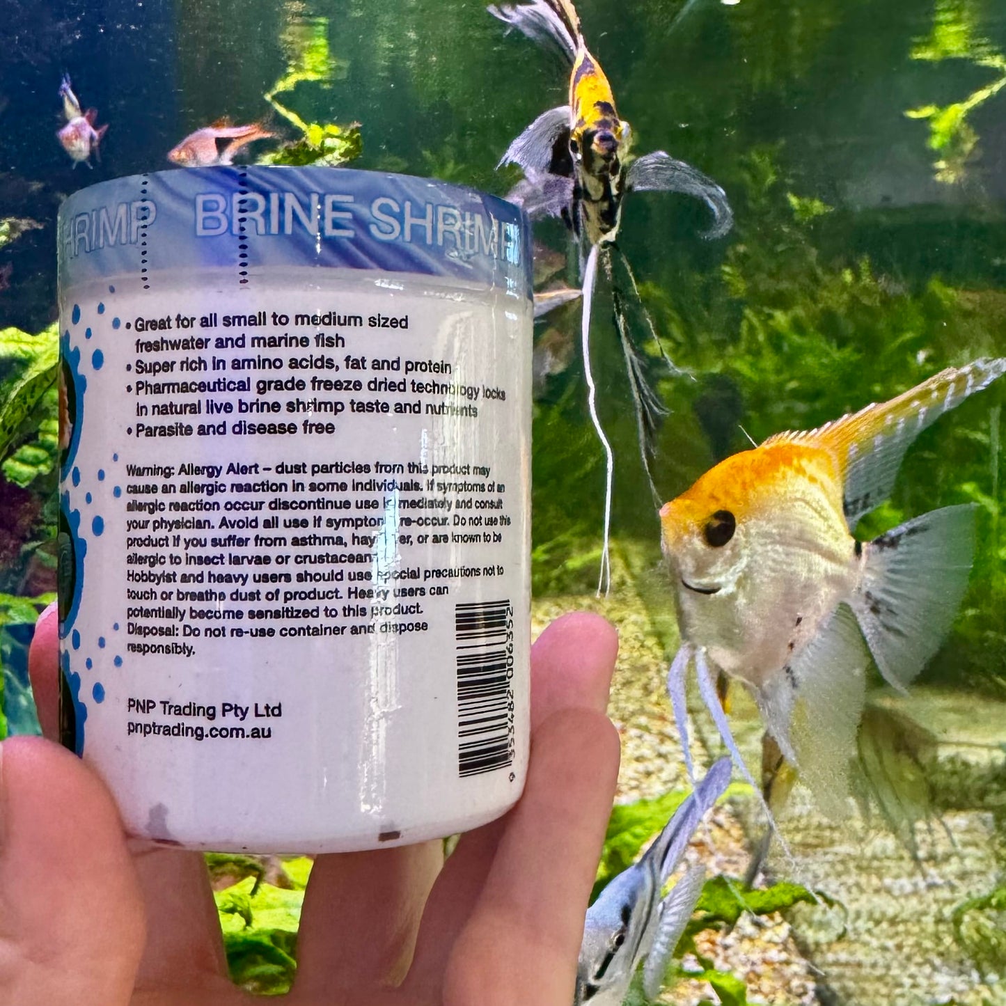 the-fish-farm Food and Treatments Aqua Natural Freeze Dried Brine Shrimp Aqua Natural Freeze Dried Brine Shrimp Freshwater and Marine Fish Food
