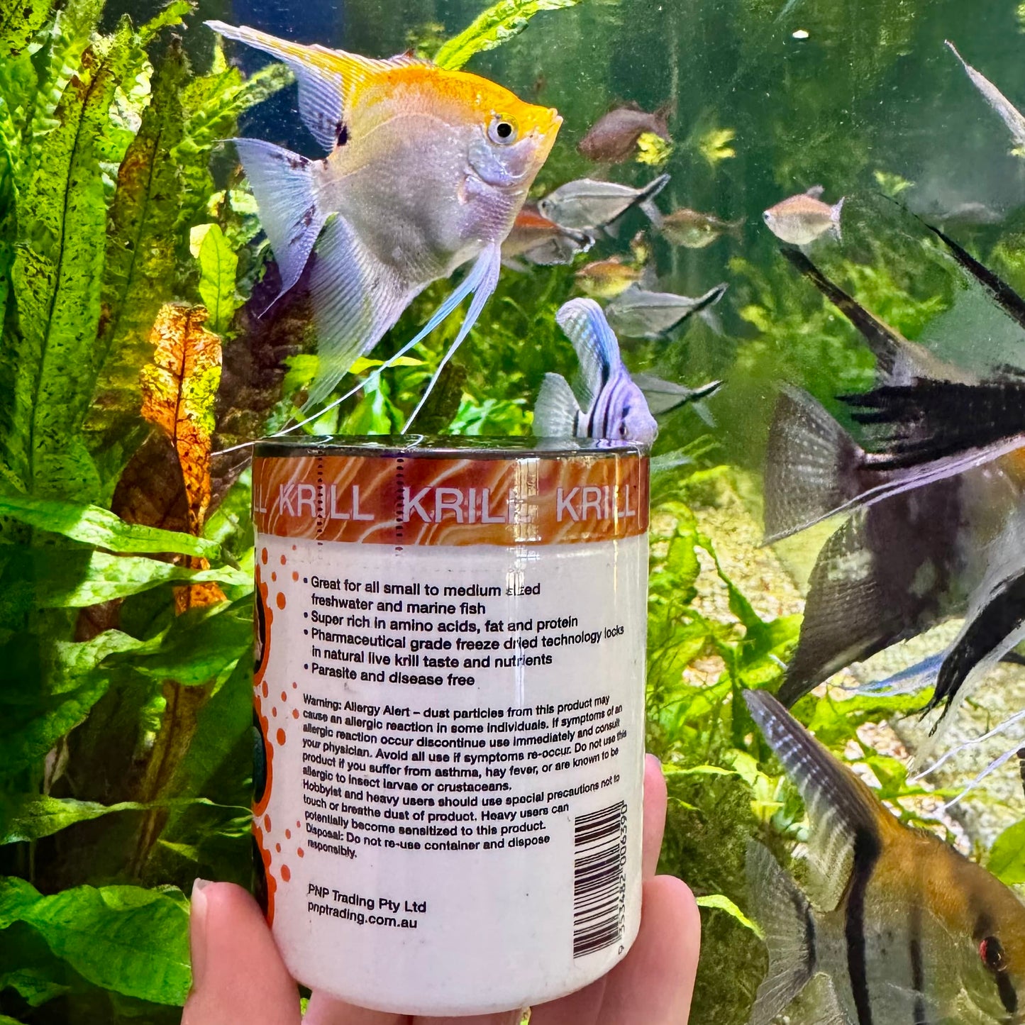 the-fish-farm Food and Treatments Aqua Natural Freeze Dried Krill Aqua Natural Freeze Dried Krill Freshwater and Marine Fish Food