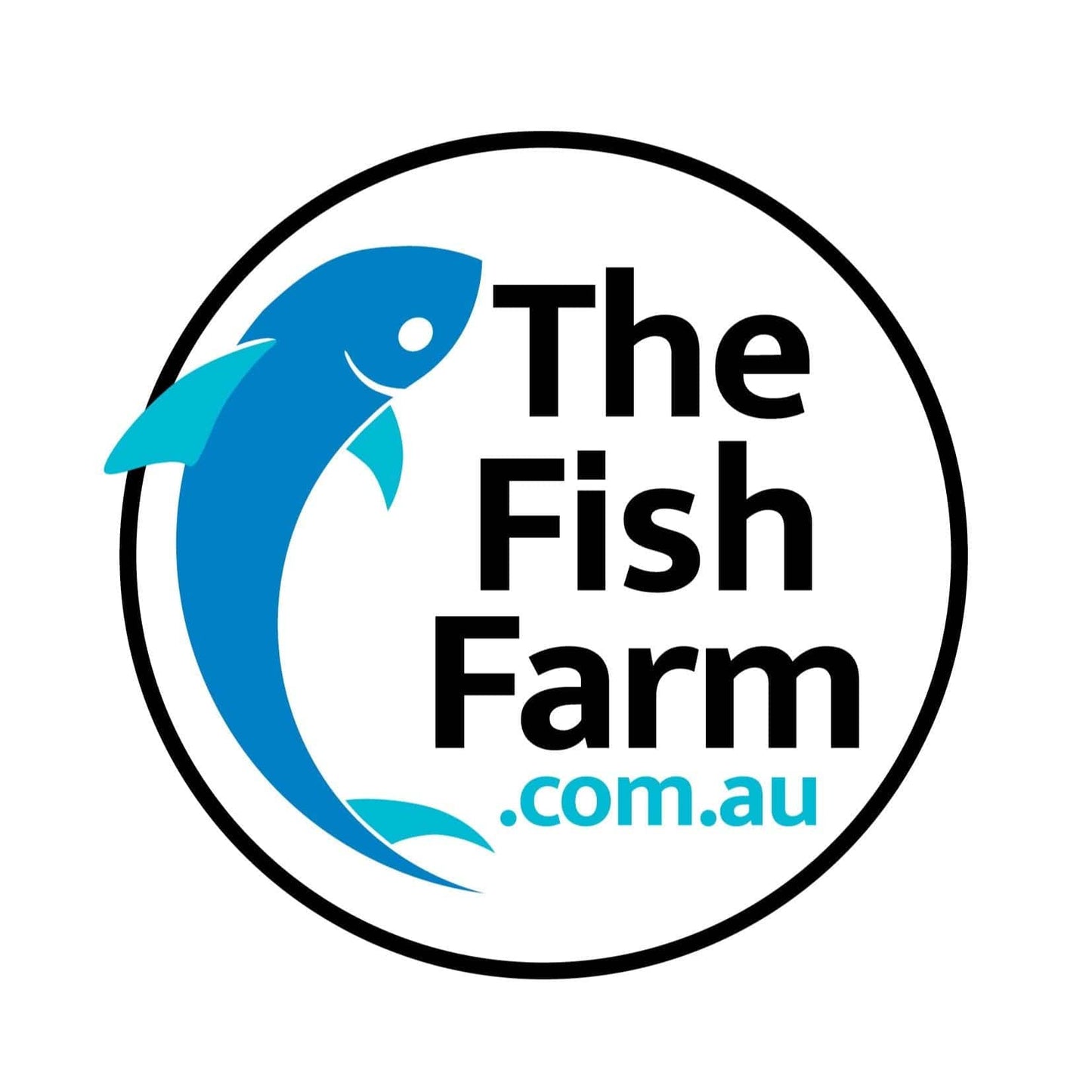 the-fish-farm Guppy Red Cobra Guppy - Female 3-4cm Buy live Male Red Cobra Guppy from The Fish Farm Australia