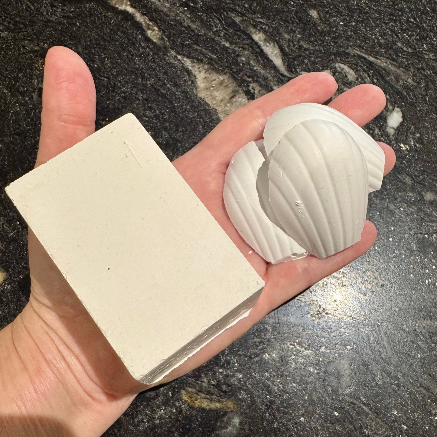 the-fish-farm Water Treatments Snail Calcium Blocks & Shells Snail Calcium Blocks & Shells