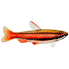 Pencil Fish - Red 3cm