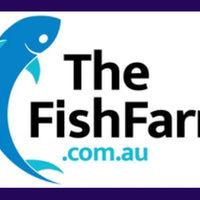 the-fish-farm African Cichlid Interruptus African Cichlid Interruptus African Cichlid - The Fish Farm - Australia