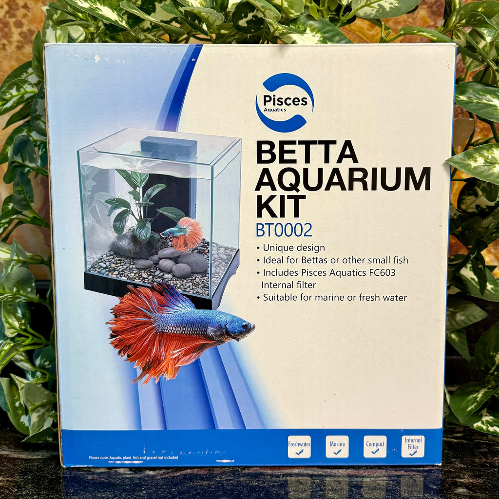 Buy Pisces Aquatics Glass Betta Tank at The Fish Farm Australia