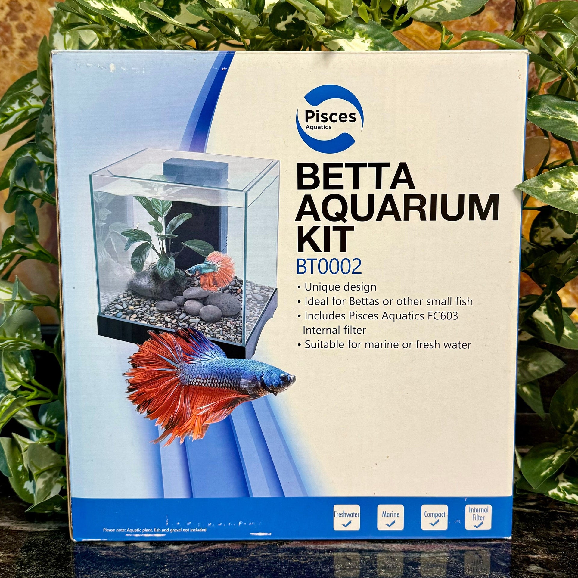 Buy Pisces Aquatics Glass Betta Tank at The Fish Farm Australia