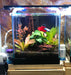 the-fish-farm Aquarium Pisces Aquatics Glass Betta Tank PLUS LED Light Bundle Buy Pisces Aquatics Glass Betta Tank & LED Light Bundle at The Fish Farm Australia
