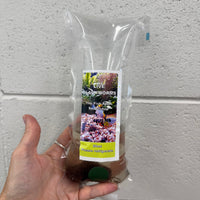 the-fish-farm Blackworms Blackworms Live Fish Food 20ml Pack Buy Live Blackworms for Fish Food from The Fish Farm Australia