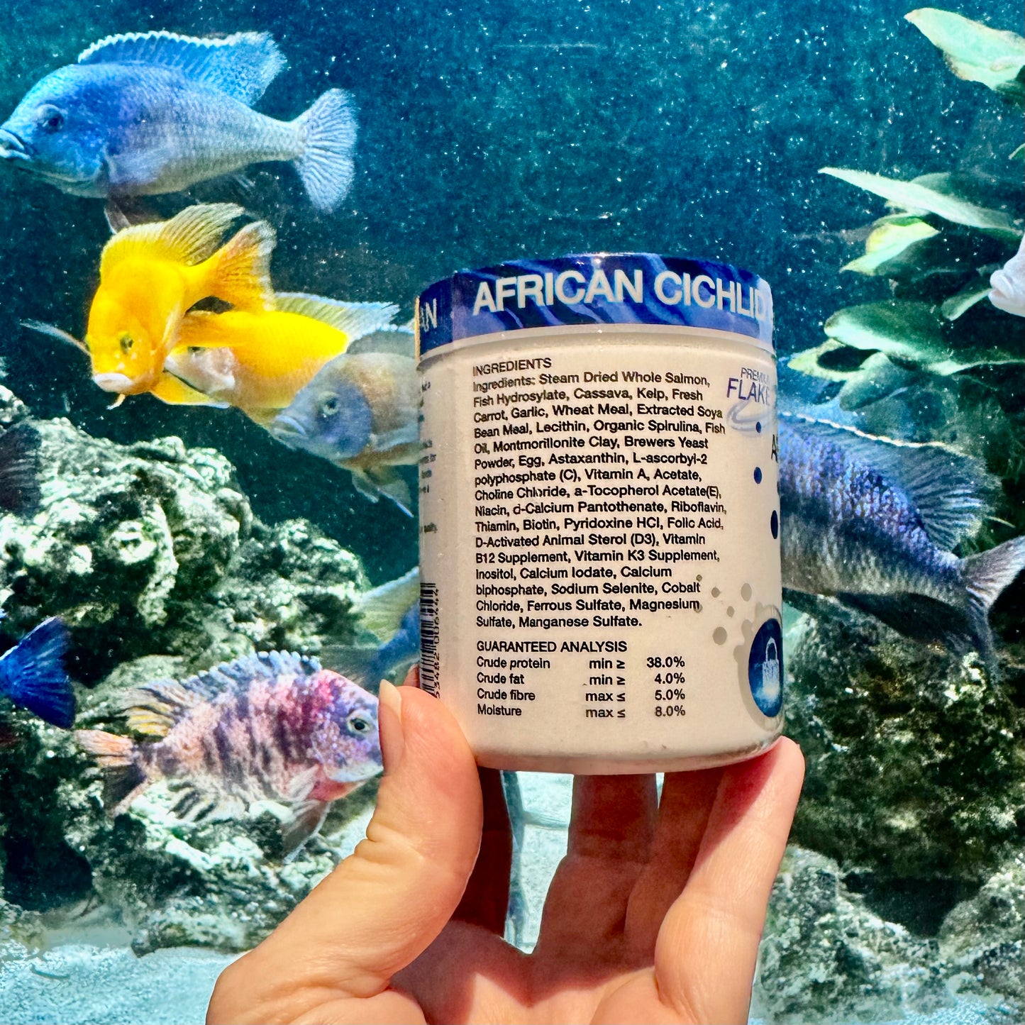 the-fish-farm Food and Treatments African Cichlid Flake 32g - Aqua Natural Where to buy Aqua Natural African Cichlid Fish Food in Australia?
