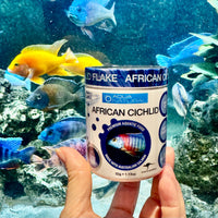 the-fish-farm Food and Treatments African Cichlid Flake 32g - Aqua Natural Where to buy Aqua Natural African Cichlid Fish Food in Australia?