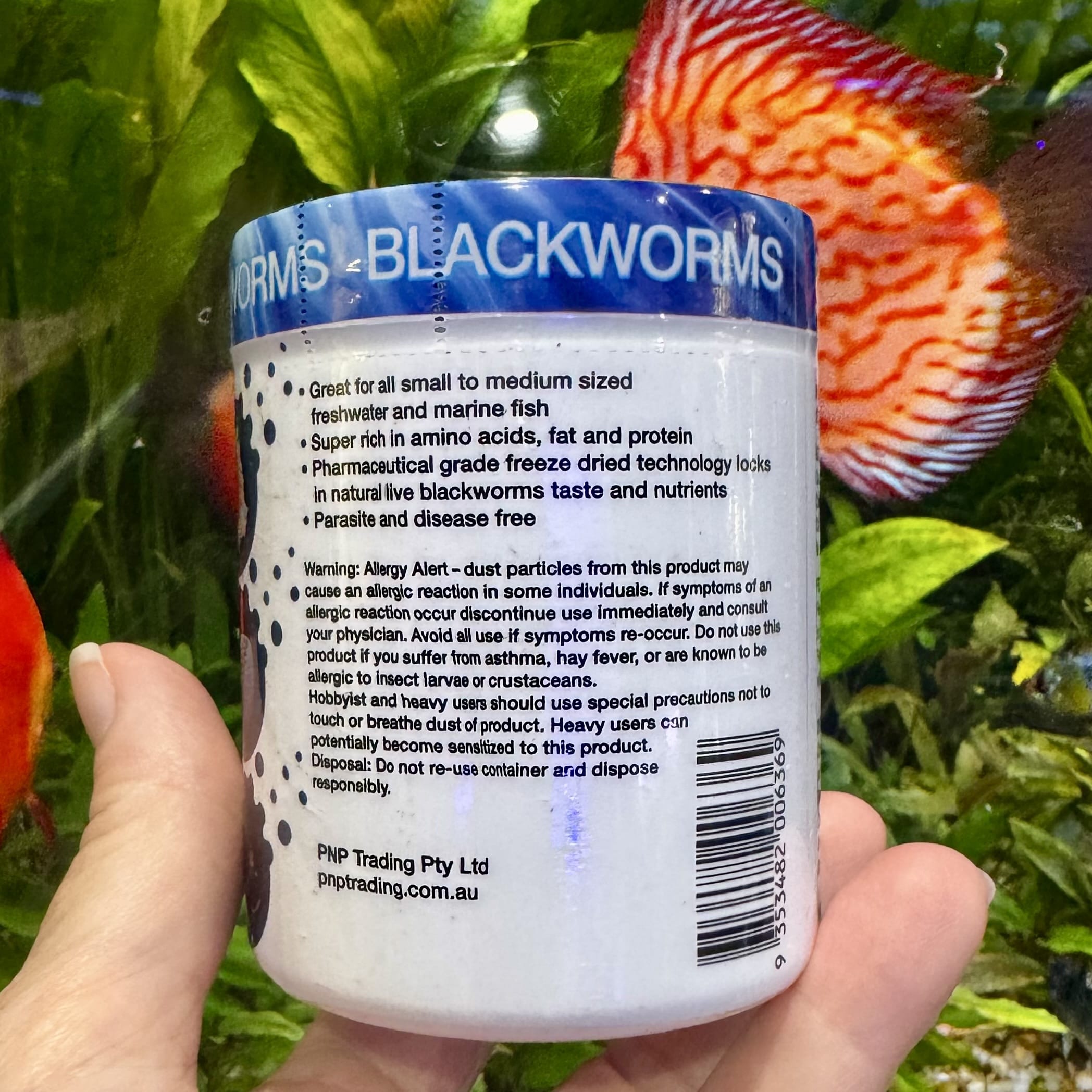 the-fish-farm Food and Treatments Aqua Natural Freeze Dried Blackworms Aqua Natural Freeze Dried Blackworms Freshwater and Marine Fish Food