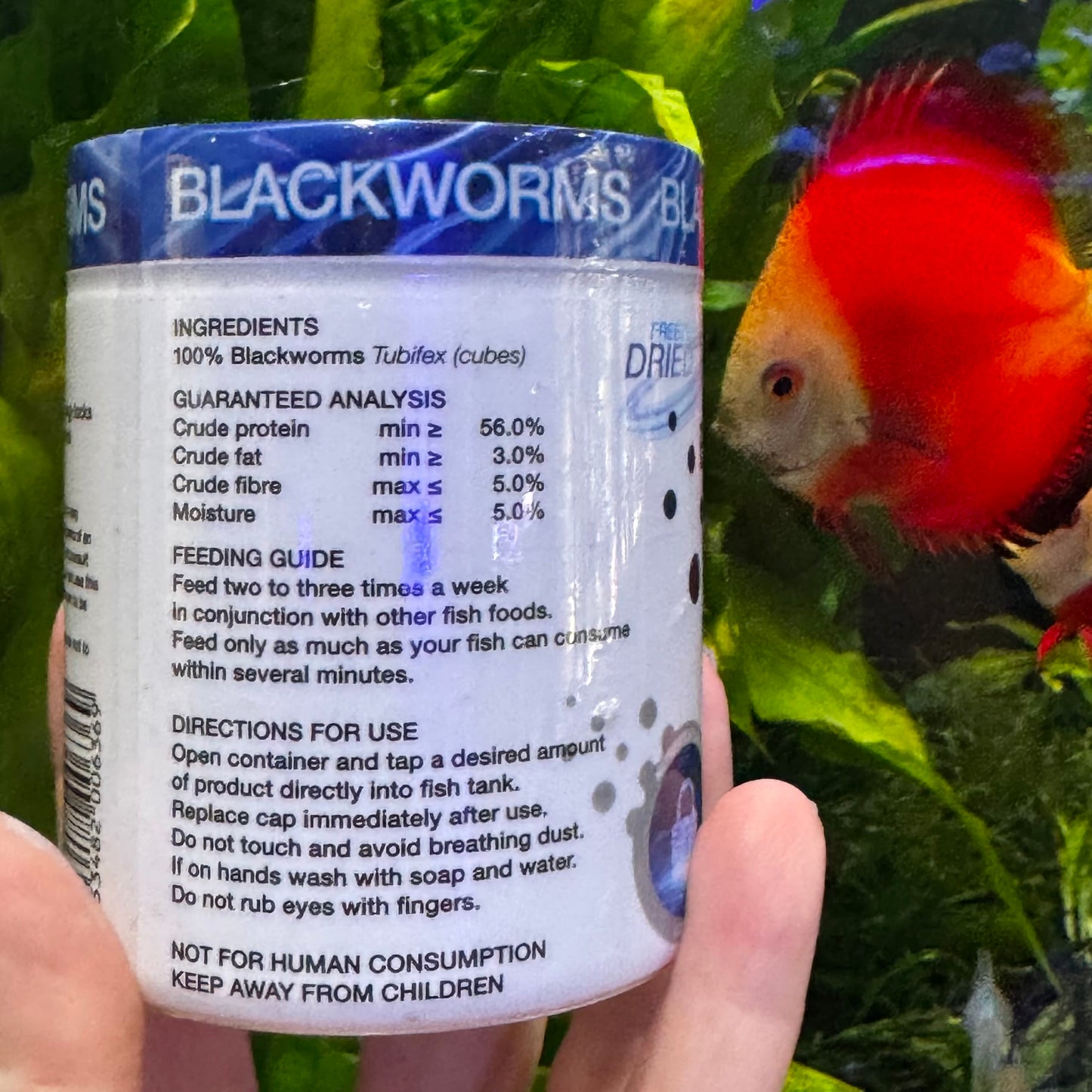 the-fish-farm Food and Treatments Aqua Natural Freeze Dried Blackworms Aqua Natural Freeze Dried Blackworms Freshwater and Marine Fish Food
