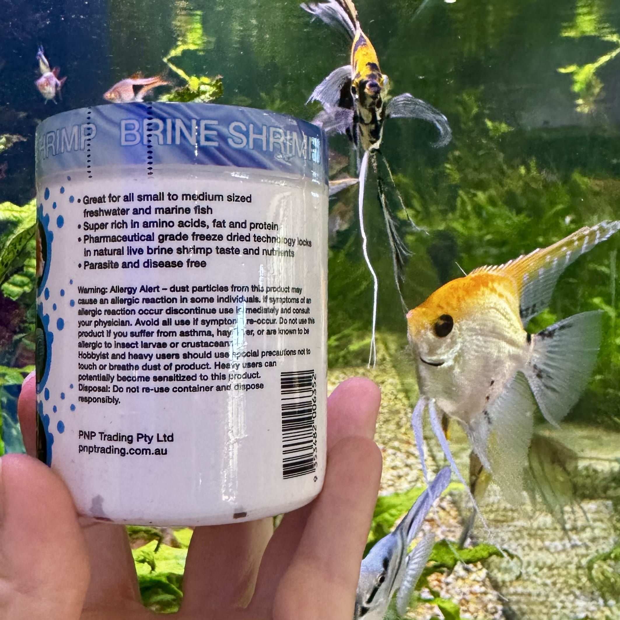 the-fish-farm Food and Treatments Aqua Natural Freeze Dried Brine Shrimp Aqua Natural Freeze Dried Brine Shrimp Freshwater and Marine Fish Food