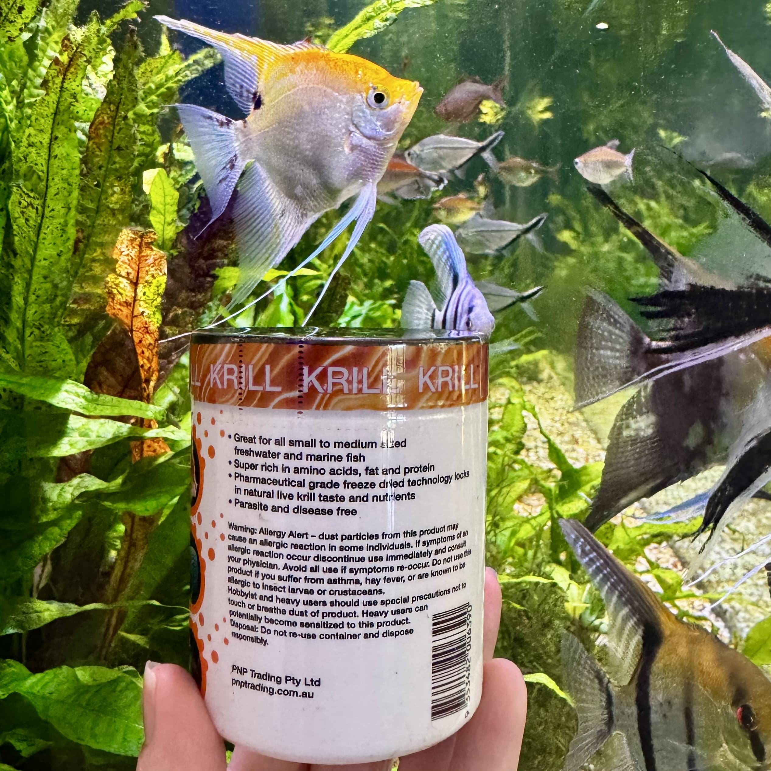 the-fish-farm Food and Treatments Aqua Natural Freeze Dried Krill Aqua Natural Freeze Dried Krill Freshwater and Marine Fish Food