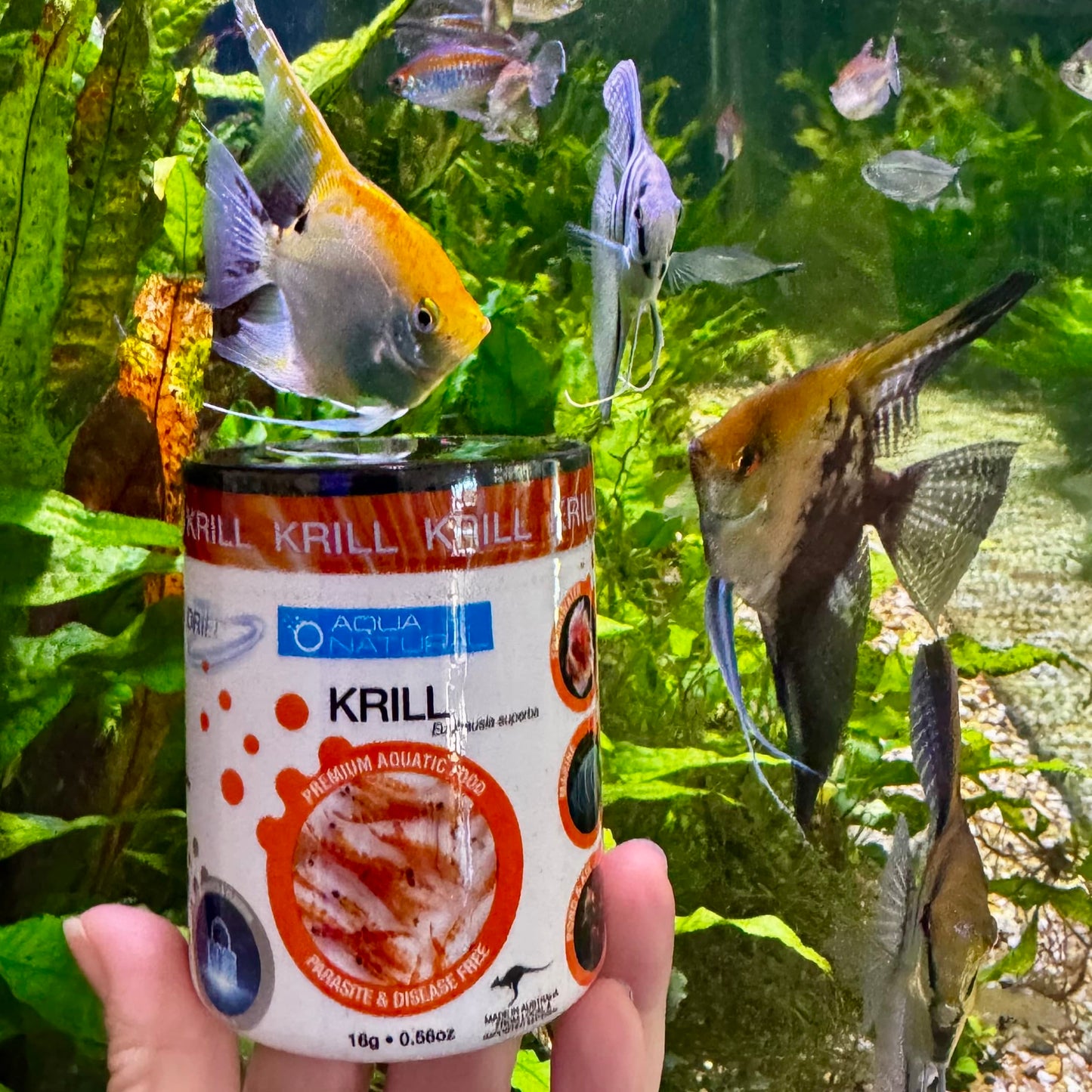 the-fish-farm Food and Treatments Aqua Natural Freeze Dried Krill Aqua Natural Freeze Dried Krill Freshwater and Marine Fish Food