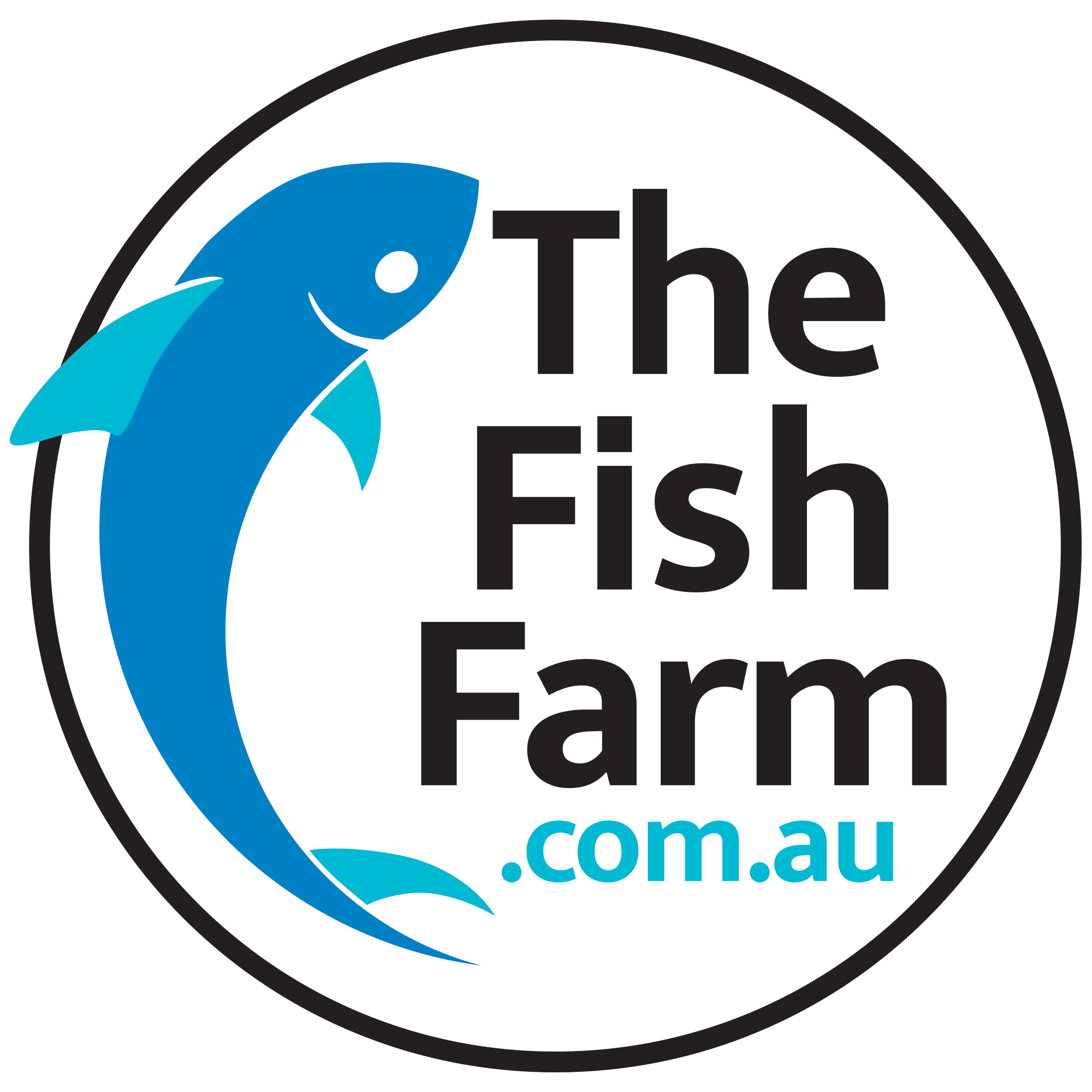 the-fish-farm Goldfish Oranda Goldfish - Calico Oranda Goldfish - Calico - The Fish Farm Australia