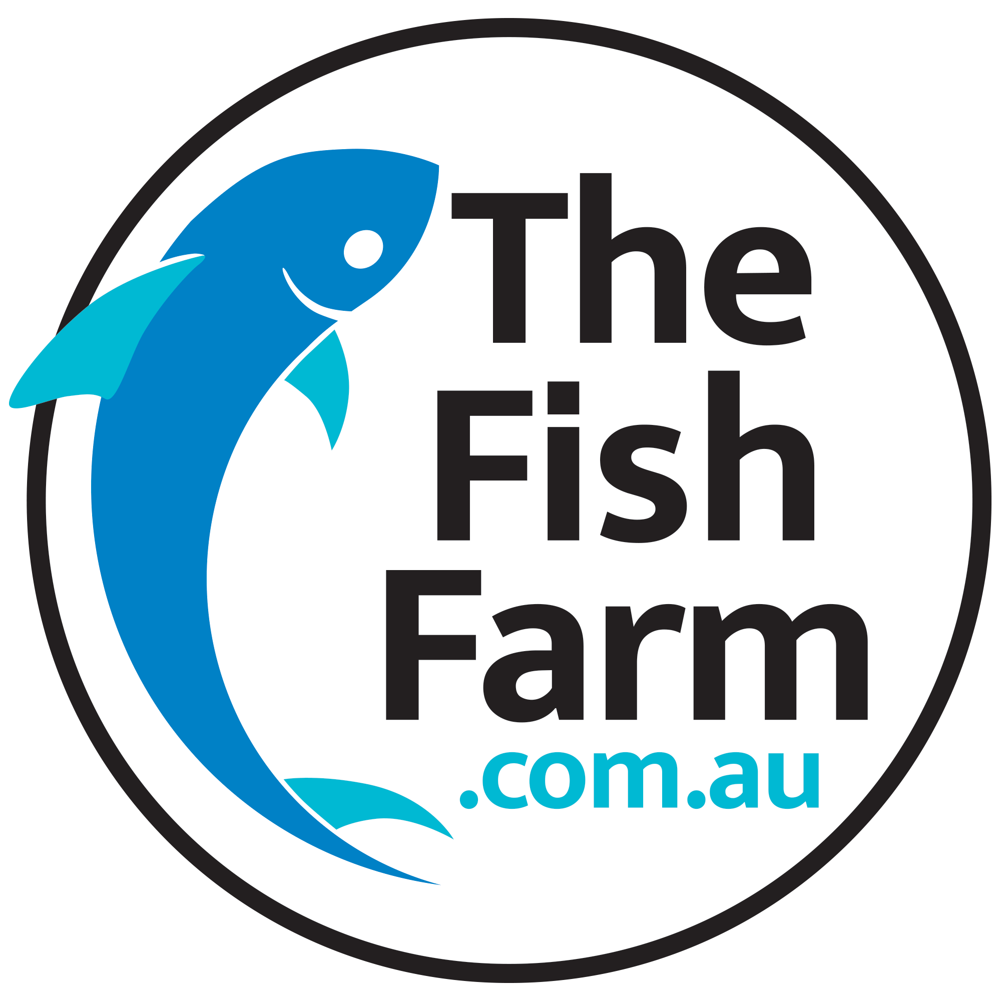 the-fish-farm Platy Platy - Golden Wagtail 3-4cm Buy Aquarium Fish Golden Wagtail Platies from The Fish Farm Australia