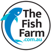 the-fish-farm Platy Platy - Sunset Wagtail 4cm Platy - Sunset Wagtail 4cm - The Fish Farm Australia